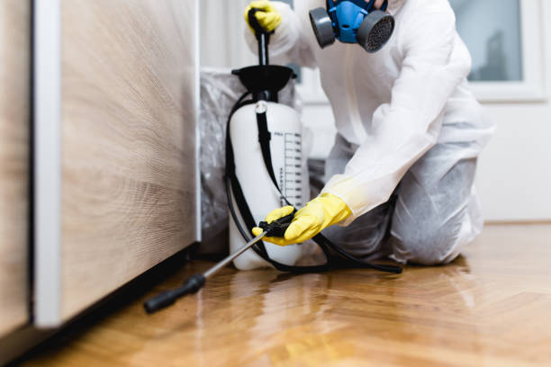 Best Flea Control Services  in Presidential Lakes Estates, NJ