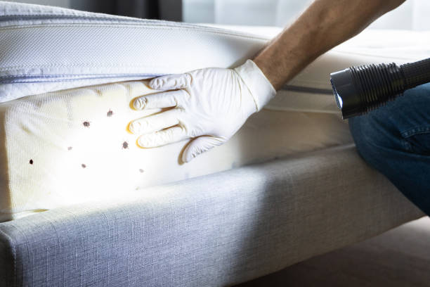Professional Pest Control in Presidential Lakes Estates, NJ