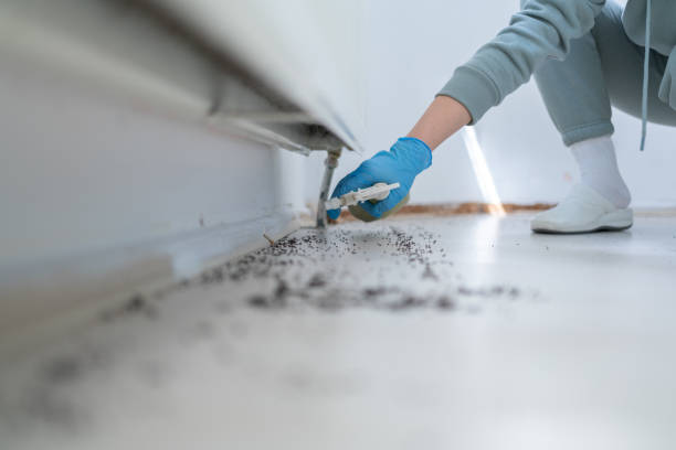 Best Insect Control  in Presidential Lakes Estates, NJ